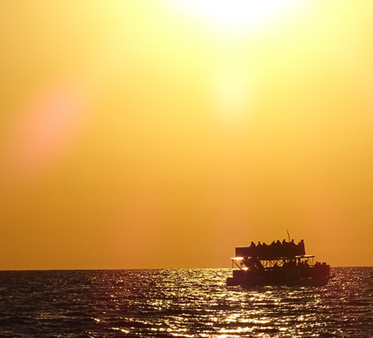 Panama City: Sunset Dolphin Cruise in St. Andrews Bay