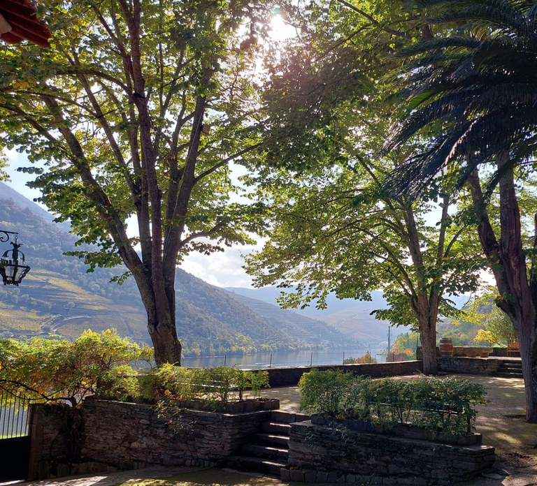 Douro Valley: (Pinhão) Quinta da Foz - Tour&Tasting 5 WINES