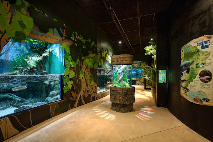 Angkor Wildlife & Aquarium - HolidaySG
