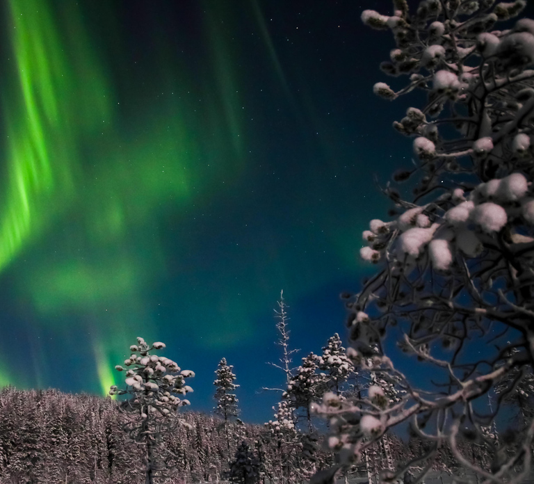 Ylläs: Seeking Northern Lights Photo Tour