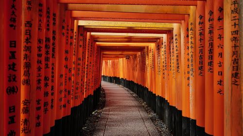 Kyoto Early Morning Tour with English-Speaking Guide Day Tours