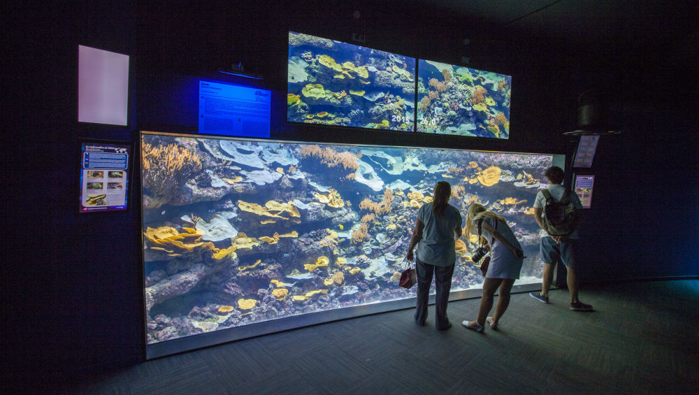 Aquarium de Paris: Entry Ticket - HolidaySG