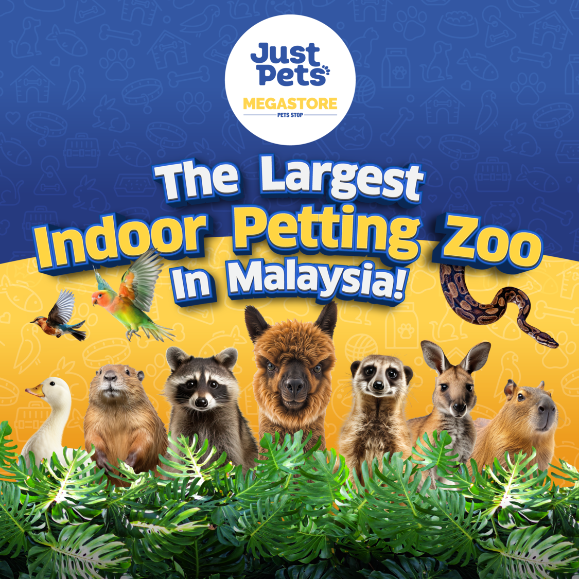 Just Farm by Just Pets Megastore Ticket (Malaysia Largest Indoor Petting Zoo)