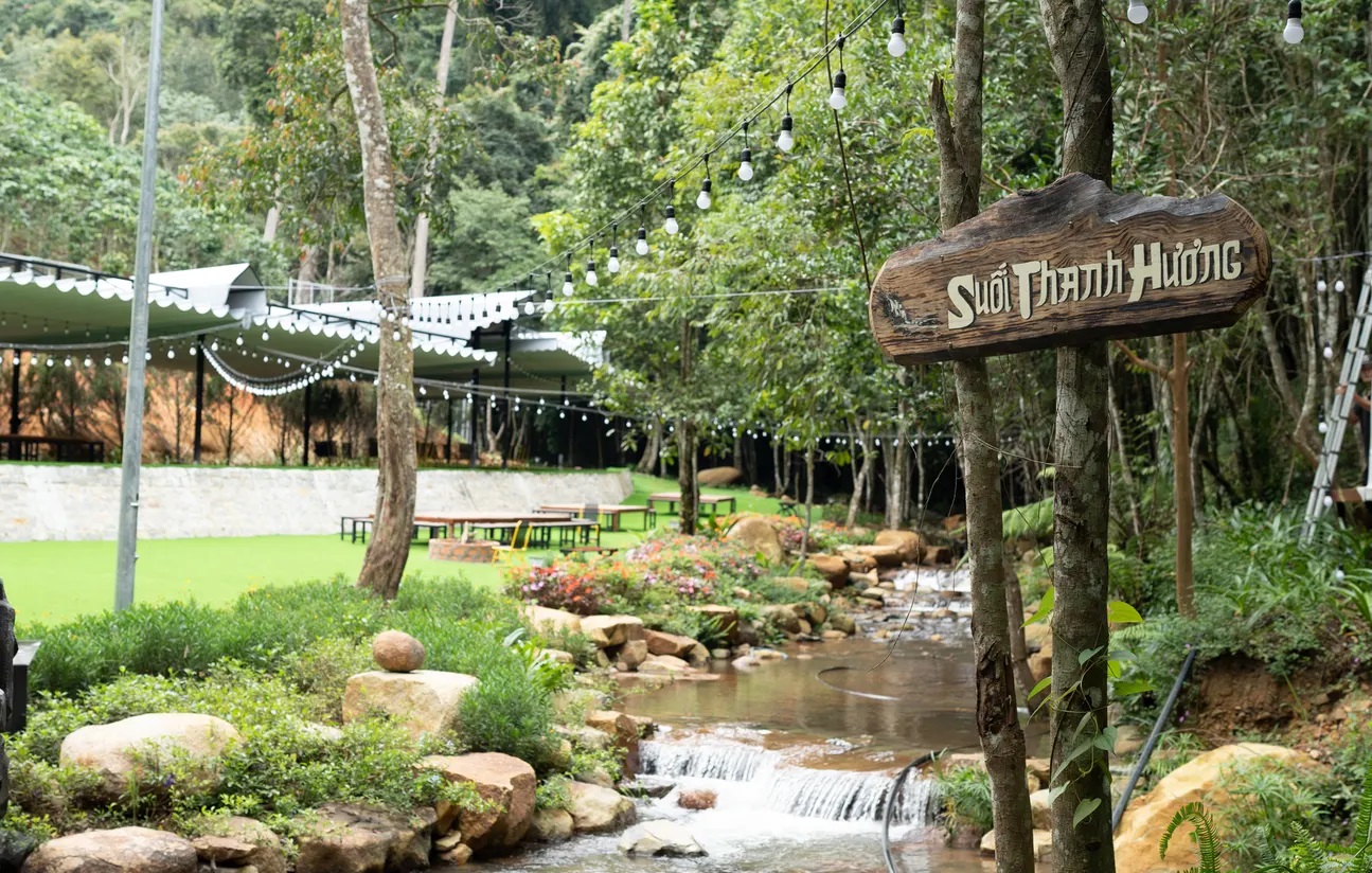 Dalat Elephant Mountain Pine Forest