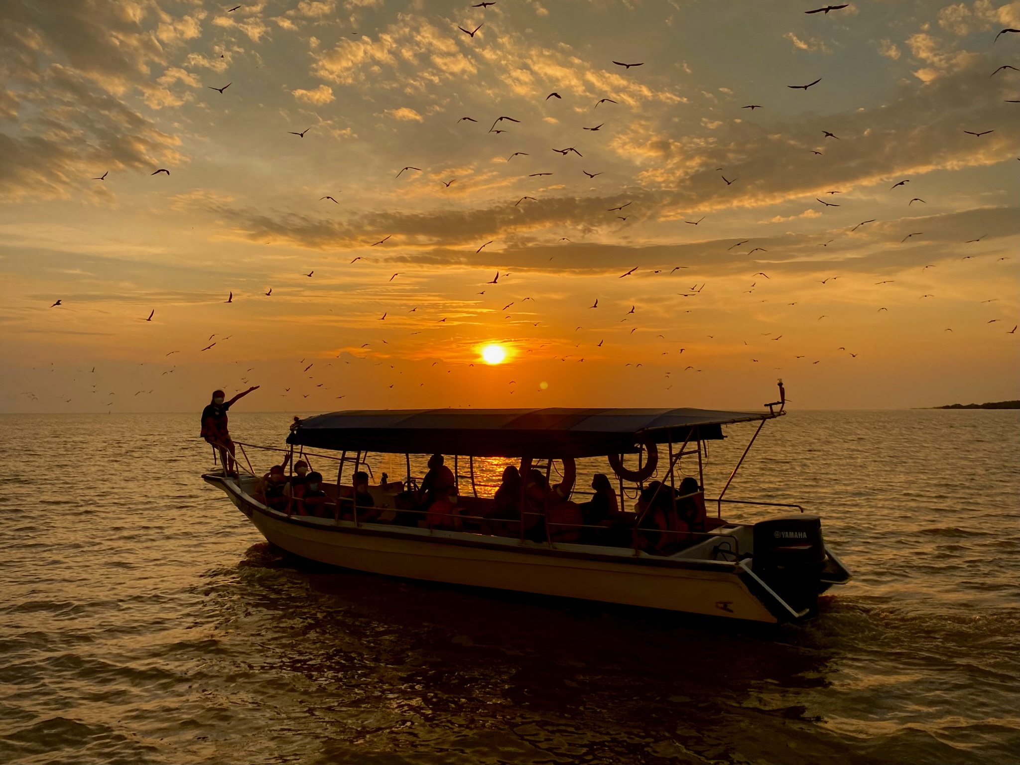 Eagle Watching, Fireflies, Blue Tears Experience in Kuala Selangor 
