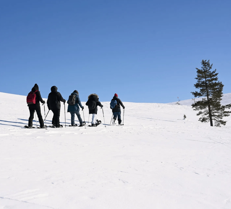 Levi: Guided Snowshoeing Tour with Hot Drinks