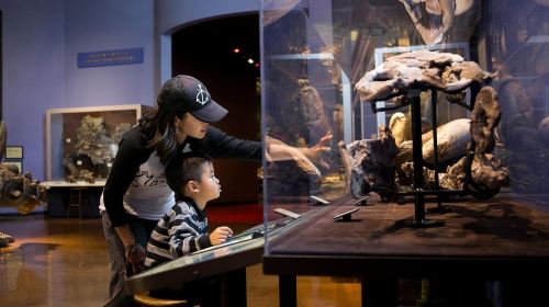 San Diego Natural History Museum