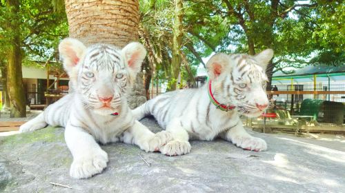 Shirotori Zoo