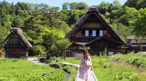 Daily departure + 2 boarding locations | 1-day tour to Shirakawa-go gassho village and Hida Takayama with pure sightseeing from Nagoya