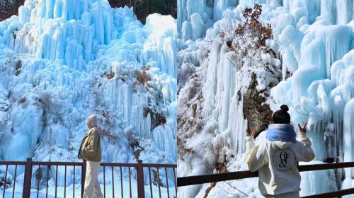 Winter Limited|Fish Fly Valley Glacier X Alpaca World X Nami Island X Garden of Morning Calm Night Lights Day Tours