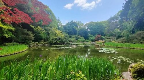 Kyoto: private and customized tour (walking/public transportation) Day Tours