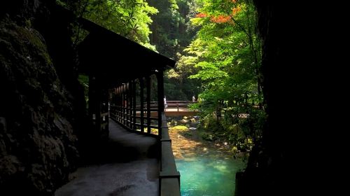 Japan Kitakyushu Yamaguchi Akiyoshido Cave + Motonosumi Shrine + Tsunoshima Bridge 1-day tour Day Tours