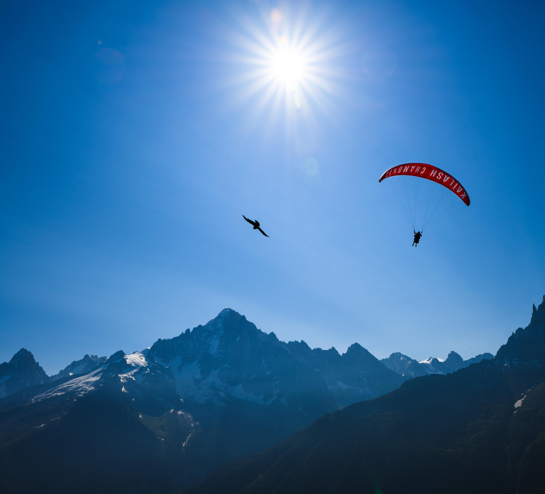 Chamonix: Tandem Paragliding Flight with Mont-Blanc Views