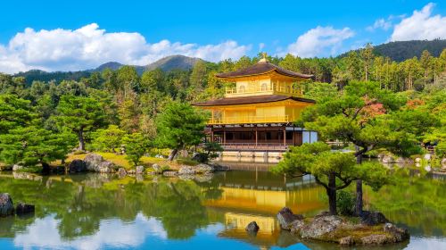 Kinkaku-ji + Arashiyama + Fushimi Inari Taisha + Nara Park one-day tour Day Tours