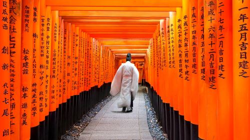 1-day tour to Kyoto, Nara and Uji | Nara Park, Byodoin Temple, Fushimi Inari and Tōdai-ji Day Tours
