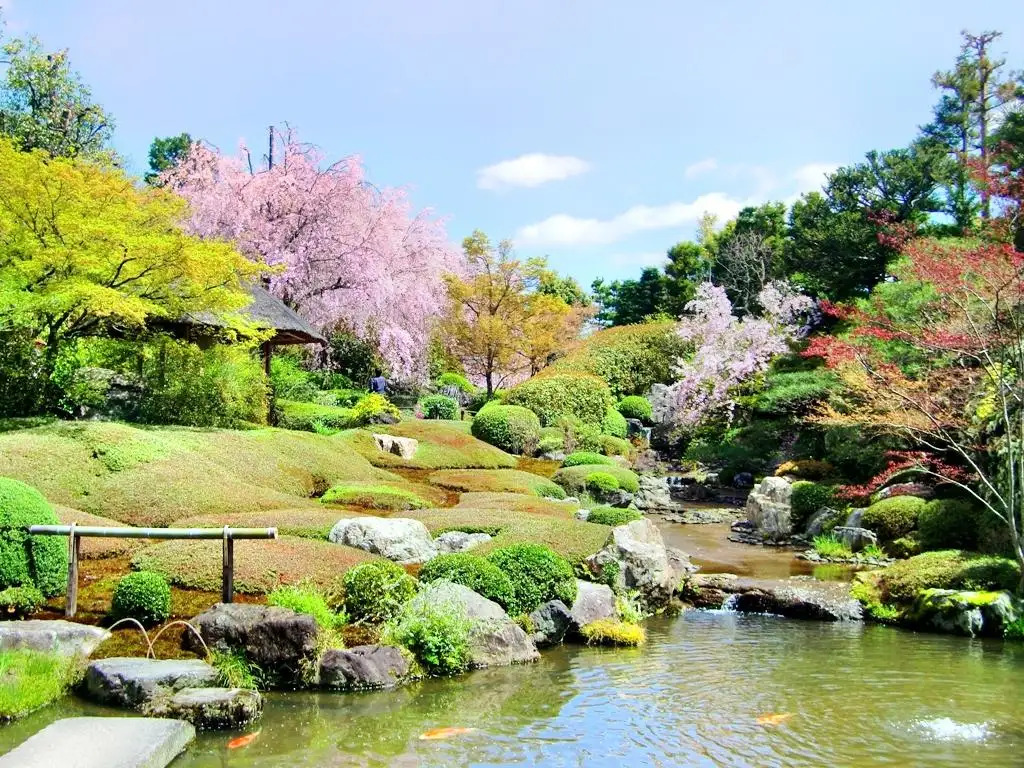 Myoshin-ji Taizo-in - HolidaySG
