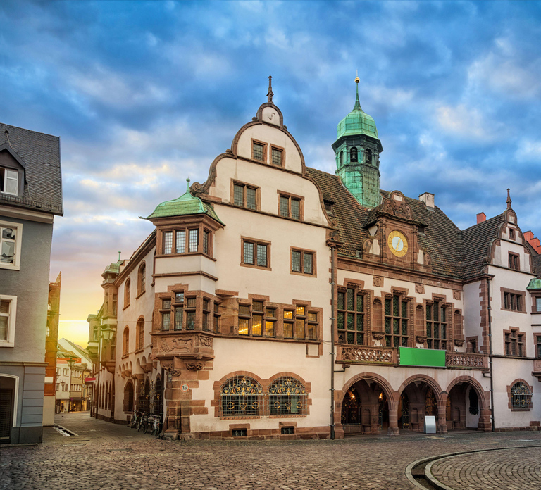 Freiburg: Exciting City Tour with sightseeing and history
