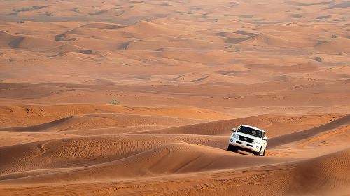 Combo: Morning Dubai City Tour And Evening Premium Desert Safari with Dinner  Day Tours
