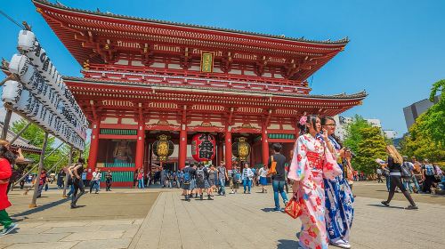 Tokyo Private Tour by Vehicle with English-Speaking Chauffeur Day Tours - HolidaySG