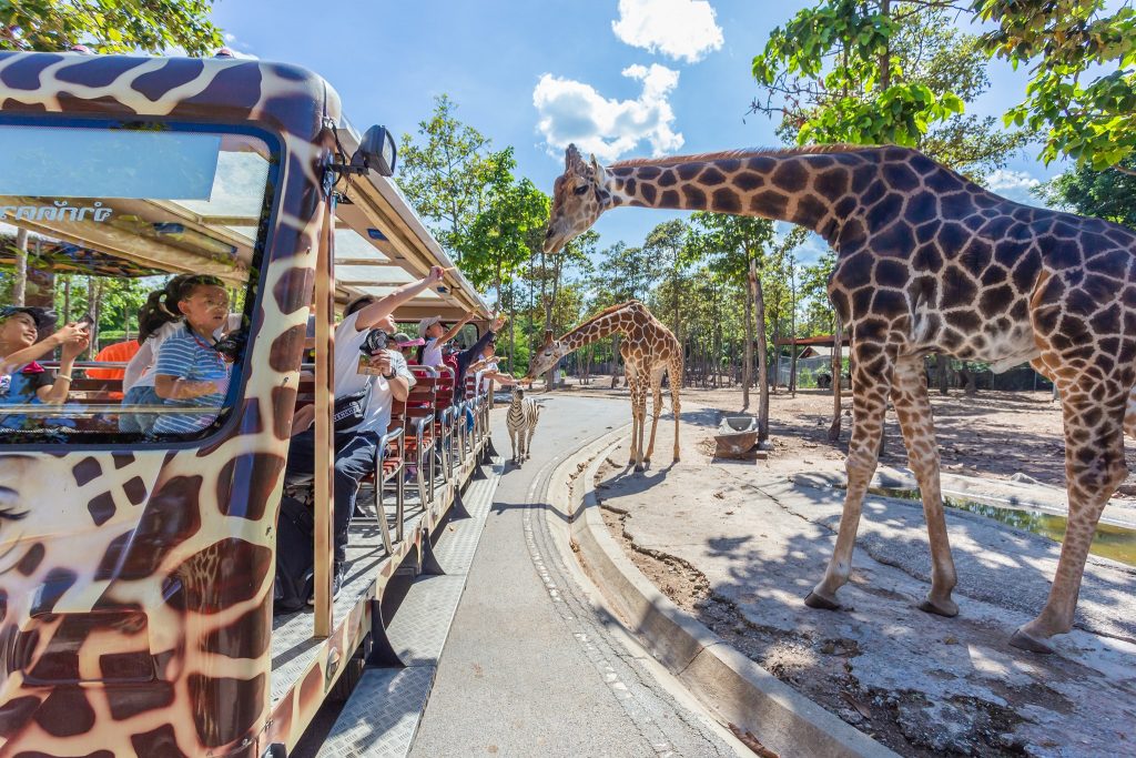 Chiang Mai Night Safari with Share Transfer - HolidaySG
