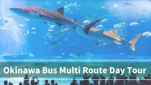 Okinawa Churaumi Aquarium Day Tours