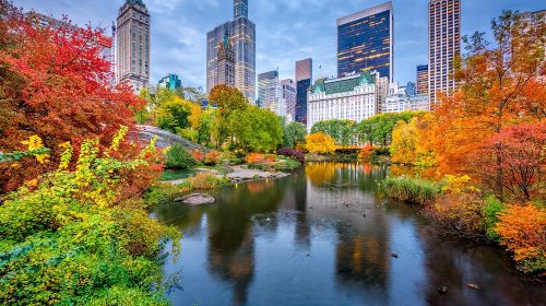 Private NYC Tour with Fun Activities for Families and Kids Day Tours