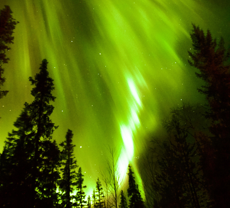 Levi Northern Lights Experience