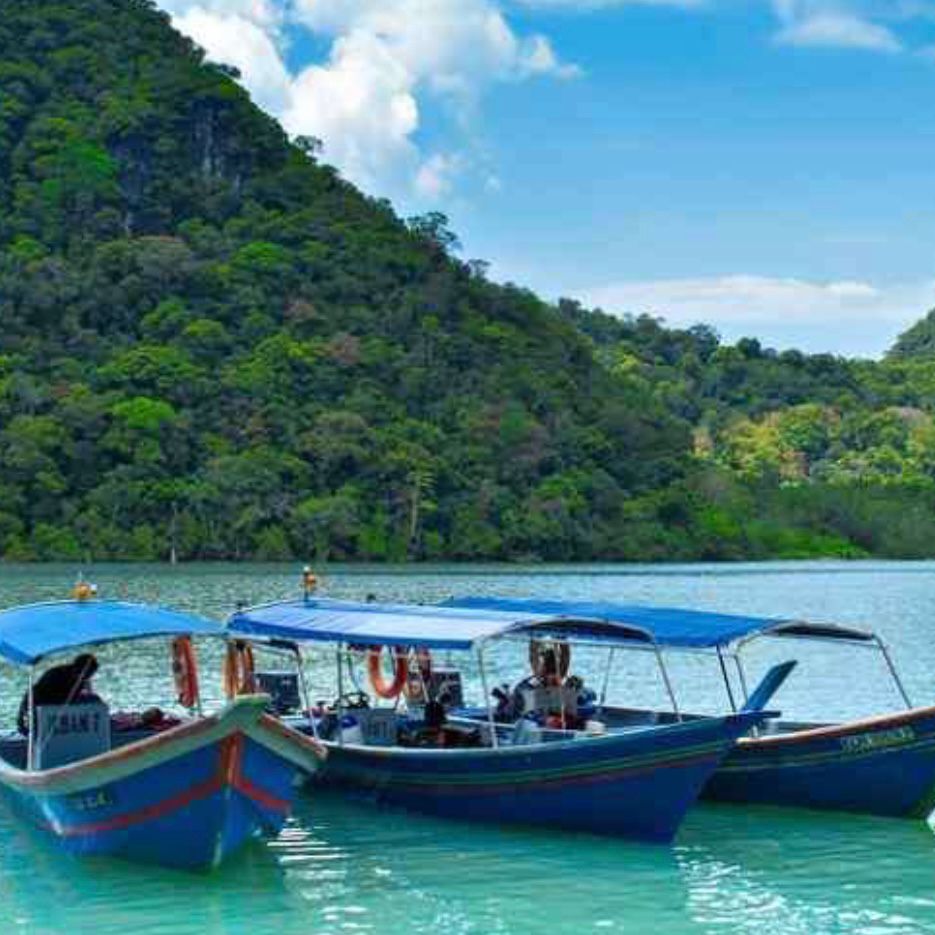 Langkawi Mangrove Tours Package - HolidaySG