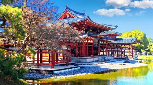 [Cherry Blossom Season] Nara Park + Uji + Hot Spring 1-Day Tour in Japan