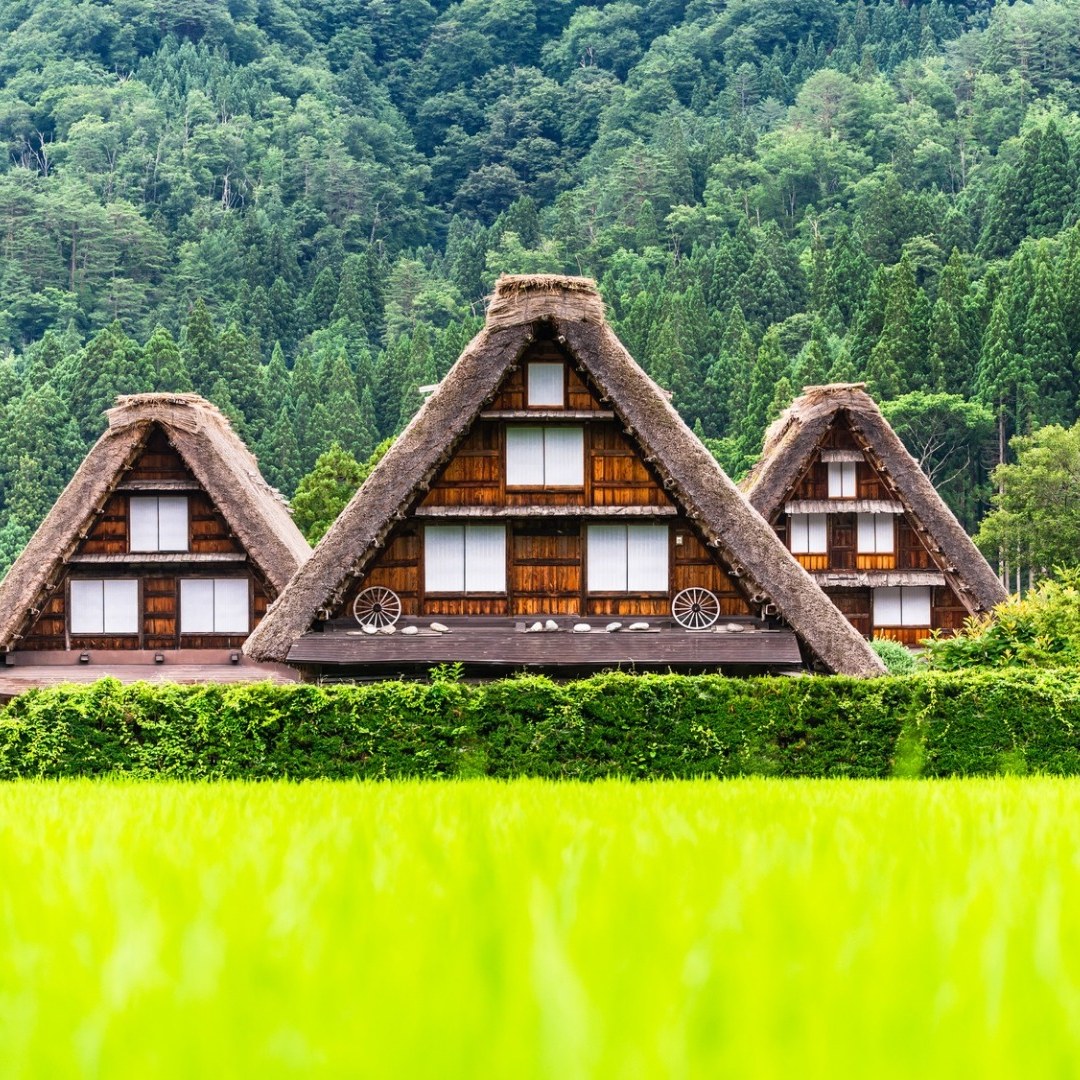 Shirakawa Day Tour from Nagoya: One-day tour of Shirakawa-go with Chinese, English and Japanese guide - HolidaySG