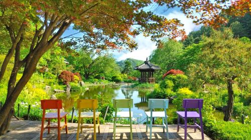 Gyeonggi Province|Nami Island X Gangchon Rail Bike X Morning Calm Arboretum Day Tours