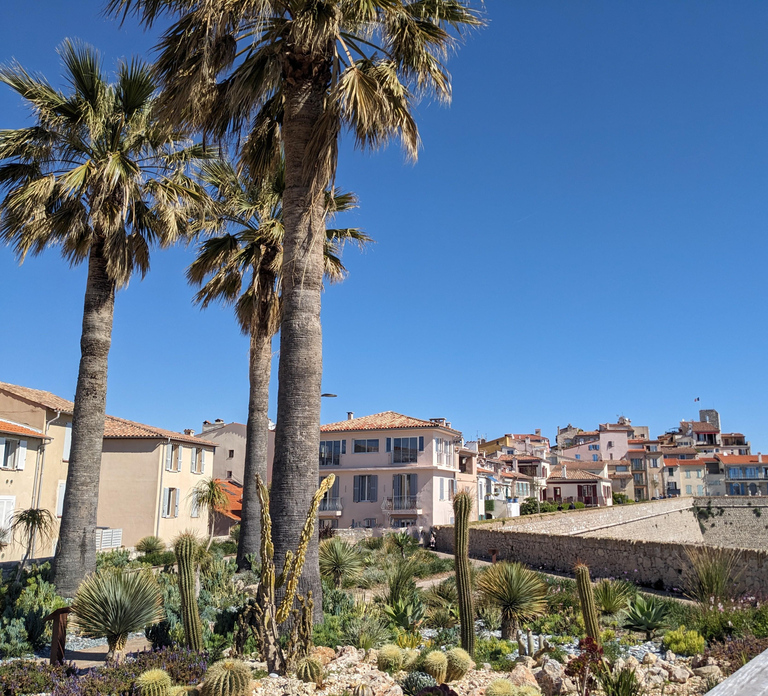 Antibes: 2 hour walking tour in the old town
