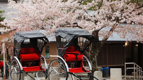 Private Custom Tour: Kyoto in One Day Day Tours