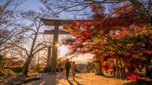 Kyushu Autumn Special: Aonodomon Yabakei Gorge, Hitome Hakkei, Kokonoe Yume Bridge & Dazaifu One Day Tour (From Fukuoka) Day Tours