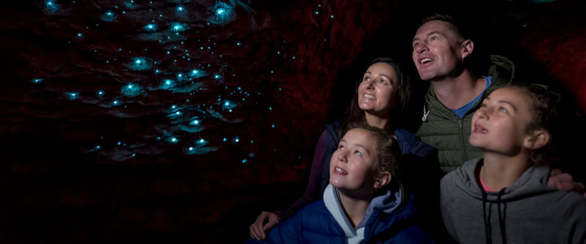Te Anau Glowworm Caves Tour - HolidaySG