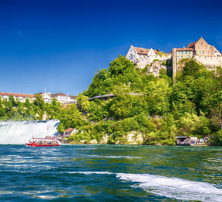 Private Tour from Zurich to Rhine Falls and Black Forest