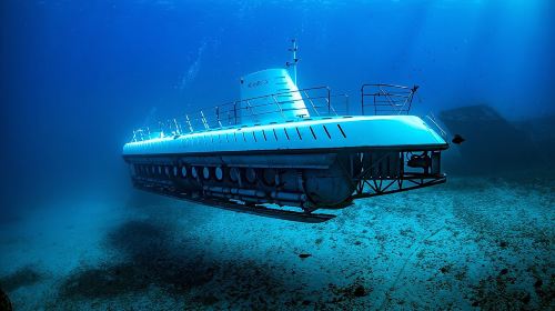 Atlantis Submarine Adventure in Waikiki Day Tours
