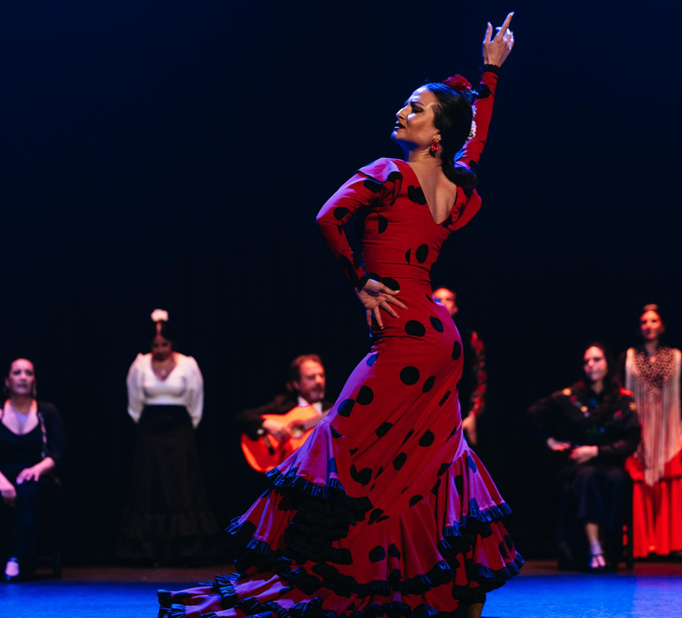 Seville: Live Flamenco Dancing Show Ticket at the Theater - HolidaySG