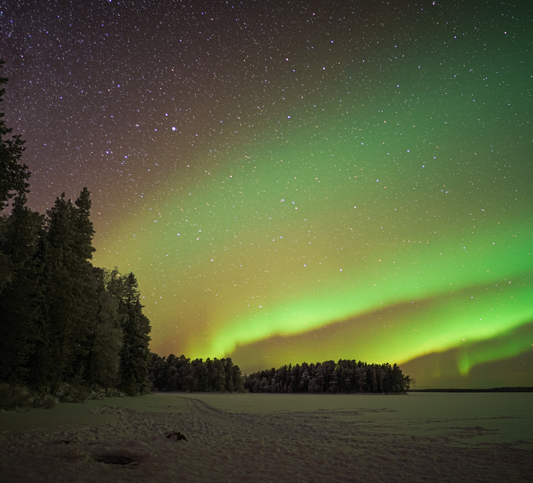 Rovaniemi: Night Sky lappish Barbecue