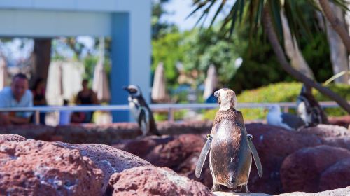 SeaWorld San Diego