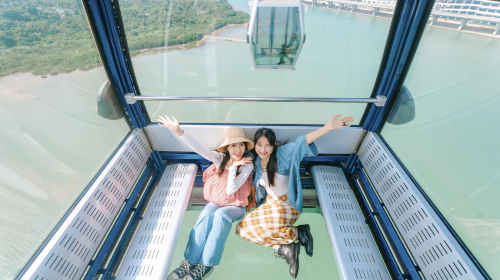 Hong Kong Ngong Ping 360 cable car ticket - standard cabin/Crystal Cabin/panoramic cabin Transport Passes - HolidaySG