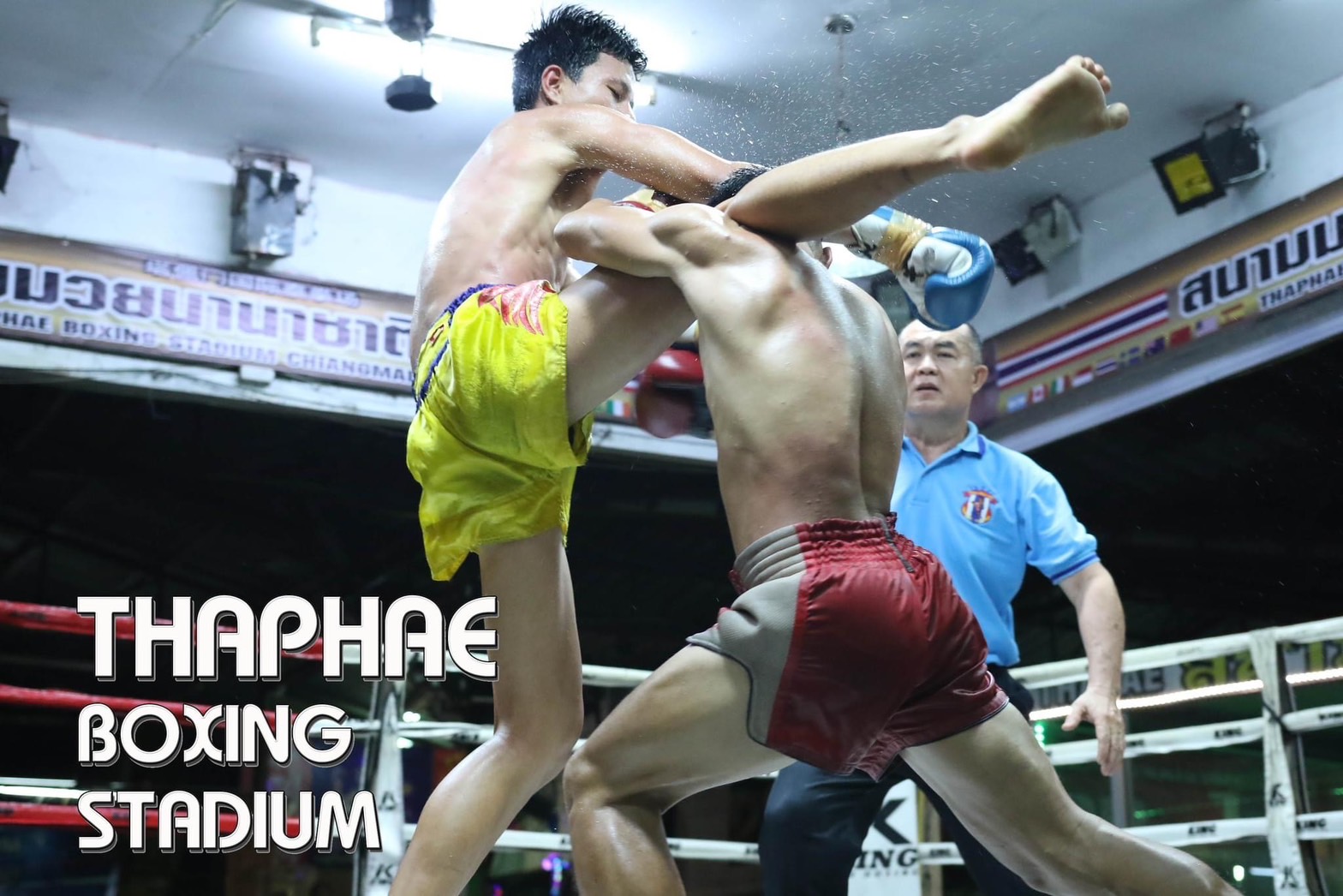 Chiang Mai-Thaphae Boxing Stadium Muay Thai Ticket