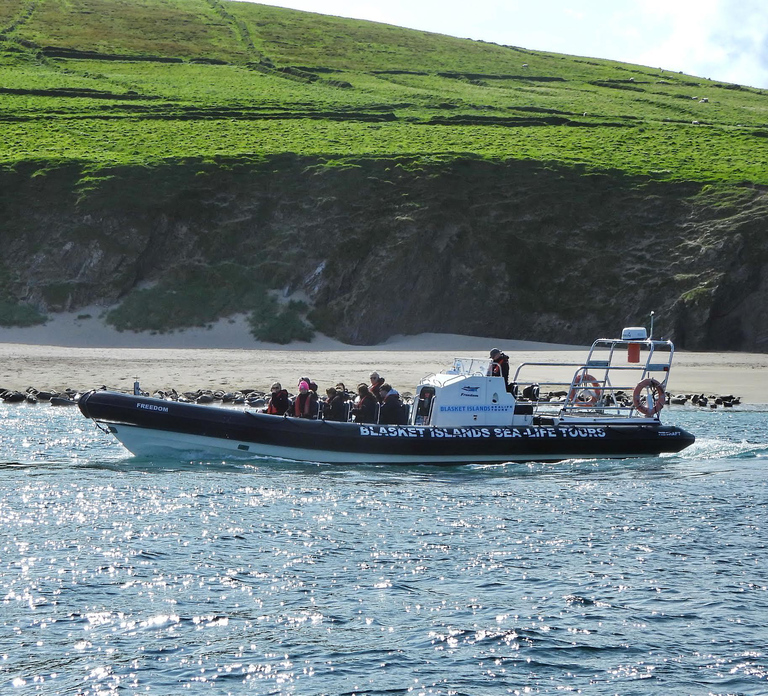Dingle: Wonders of Blasket Islands Sea Life Boat Tour