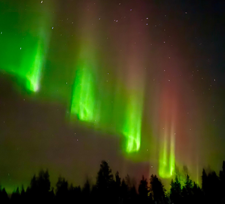 Rovaniemi: hunting for the Northern Lights with BBQ
