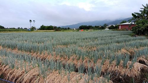 Chumi Experience Farm - HolidaySG