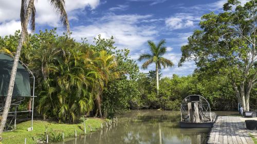 Everglades Airboat Adventure & Biscayne Bay Cruise Day Tours