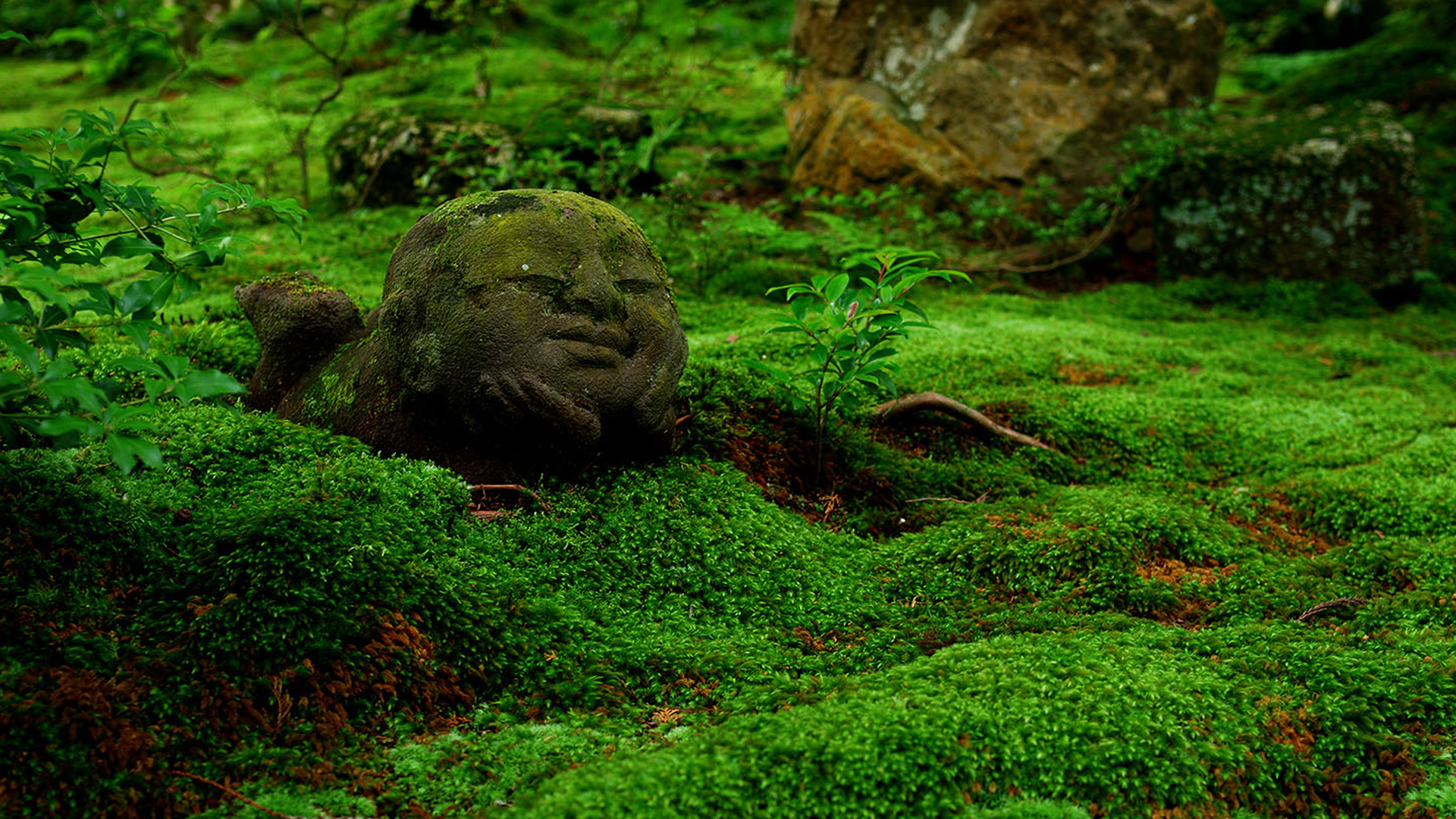 Sanzen-in Temple in Arashiyama, Kyoto
