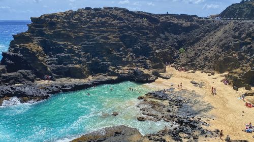Oahu Island Experience feat the North Shore (Small Group Tour) Day Tours