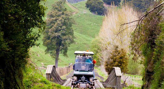 Full Day 20 Tunnel Rail Cart Experience