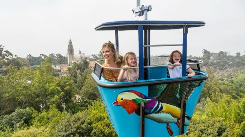 San Diego Zoo: Entry Ticket
